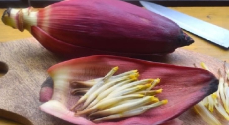 সেরা সবজি কলার মোচা