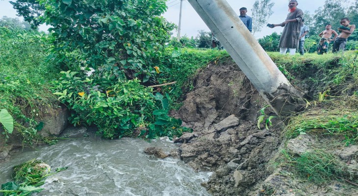 টানা তিন দিনের বর্ষণে বগুড়ার শেরপুরে ভাঙনের কবলে ফসলি জমি