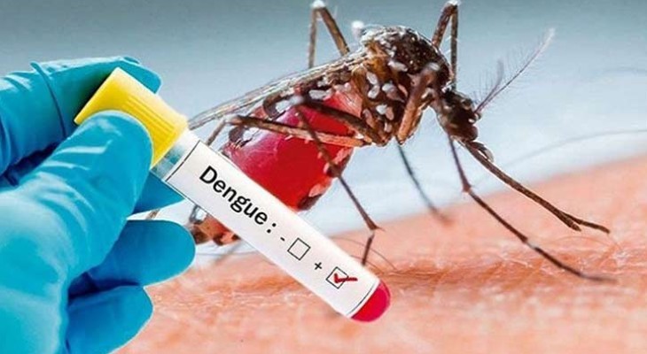ডেঙ্গু আক্রান্ত হয়ে ৫ জনের মৃত্যু