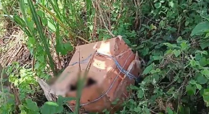 ফরিদপুরে কার্টন থেকে অজ্ঞাত ব্যক্তির ৬ টুকরো মরদেহ উদ্ধার