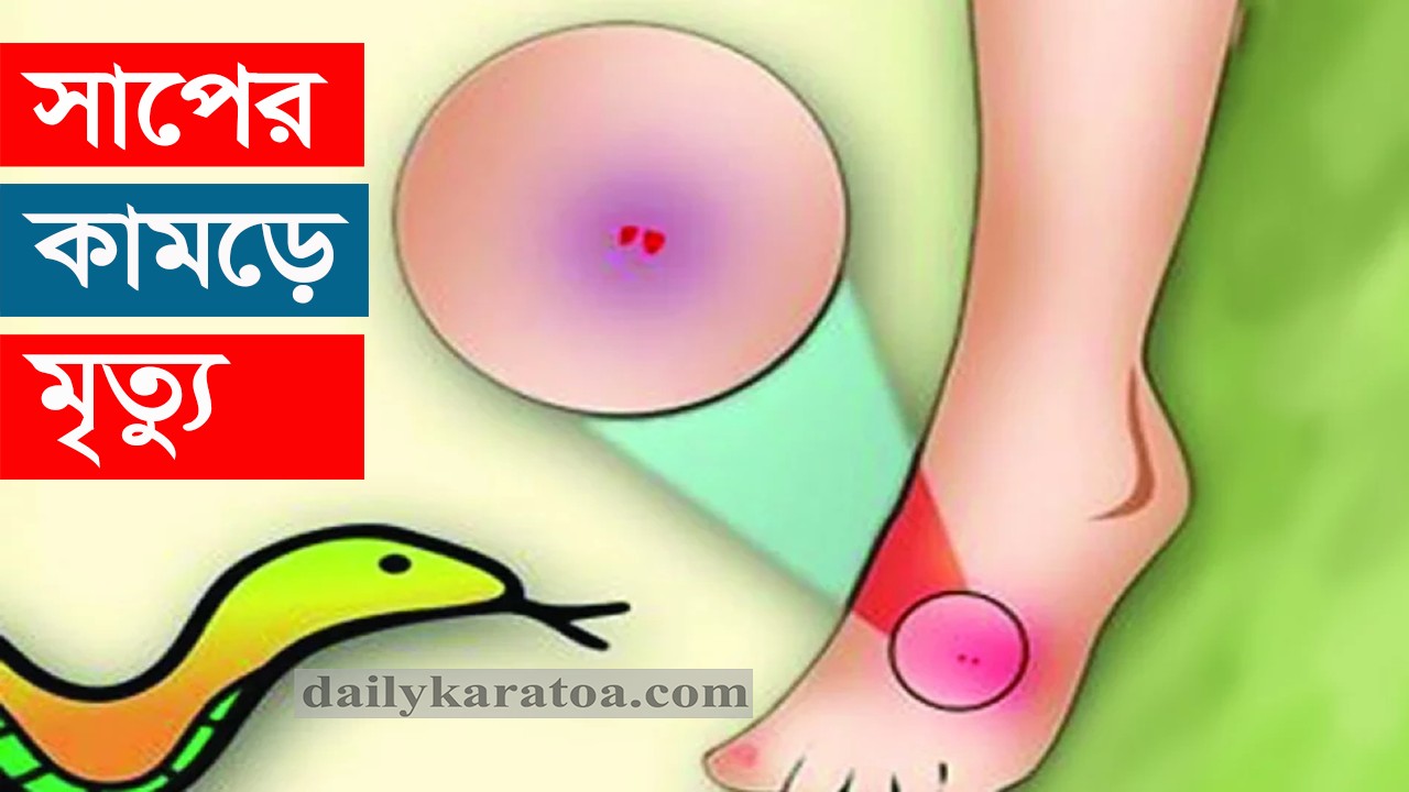 ঠাকুরগাঁওয়ে বিষাক্ত সাপের কামড়ে গৃহবধূর মৃত্যু