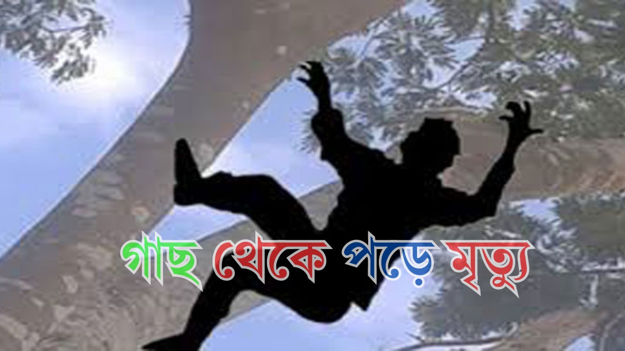 বগুড়ার শিবগঞ্জে গাছ থেকে পড়ে ভ্যানচালকের মৃত্যু