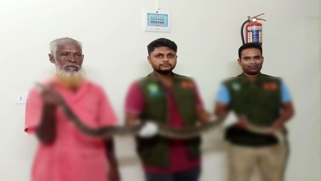 পঞ্চগড়ের দেবীগঞ্জে ধানক্ষেত থেকে ৮ কেজি ওজনের অজগর উদ্ধার