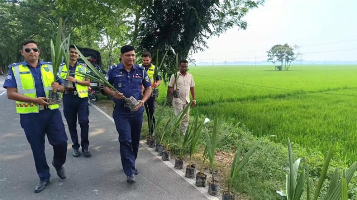 ঝিনাইদহে বজ্রপাত রোধ ও পরিবেশ রক্ষায় পুলিশের তালগাছ রোপণ
