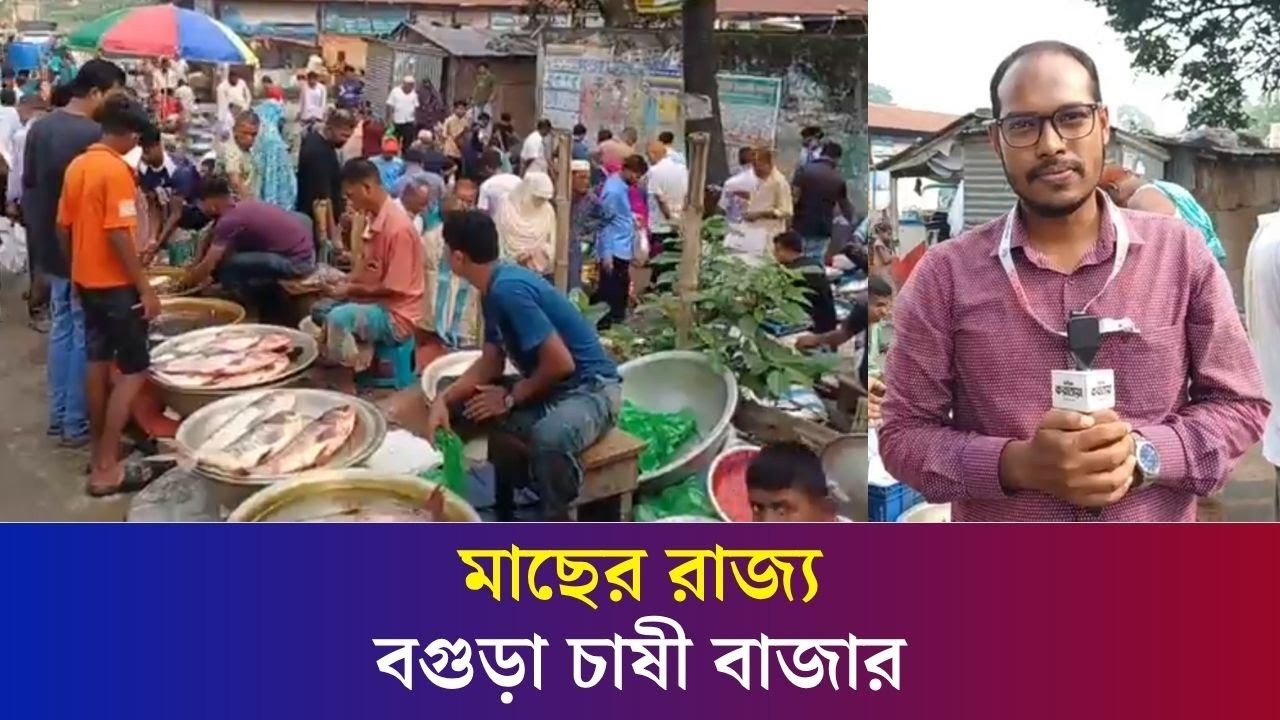 বগুড়া চাষী বাজারে মাছের দাম কম | Bogura Fish Market | Daily Karatoa