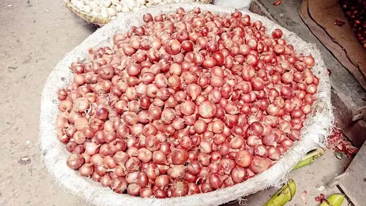 পাবনার বেড়ায় মণপ্রতি পেঁয়াজের দাম বেড়েছে হাজার টাকা, বৃষ্টিতে বীজও নষ্ট