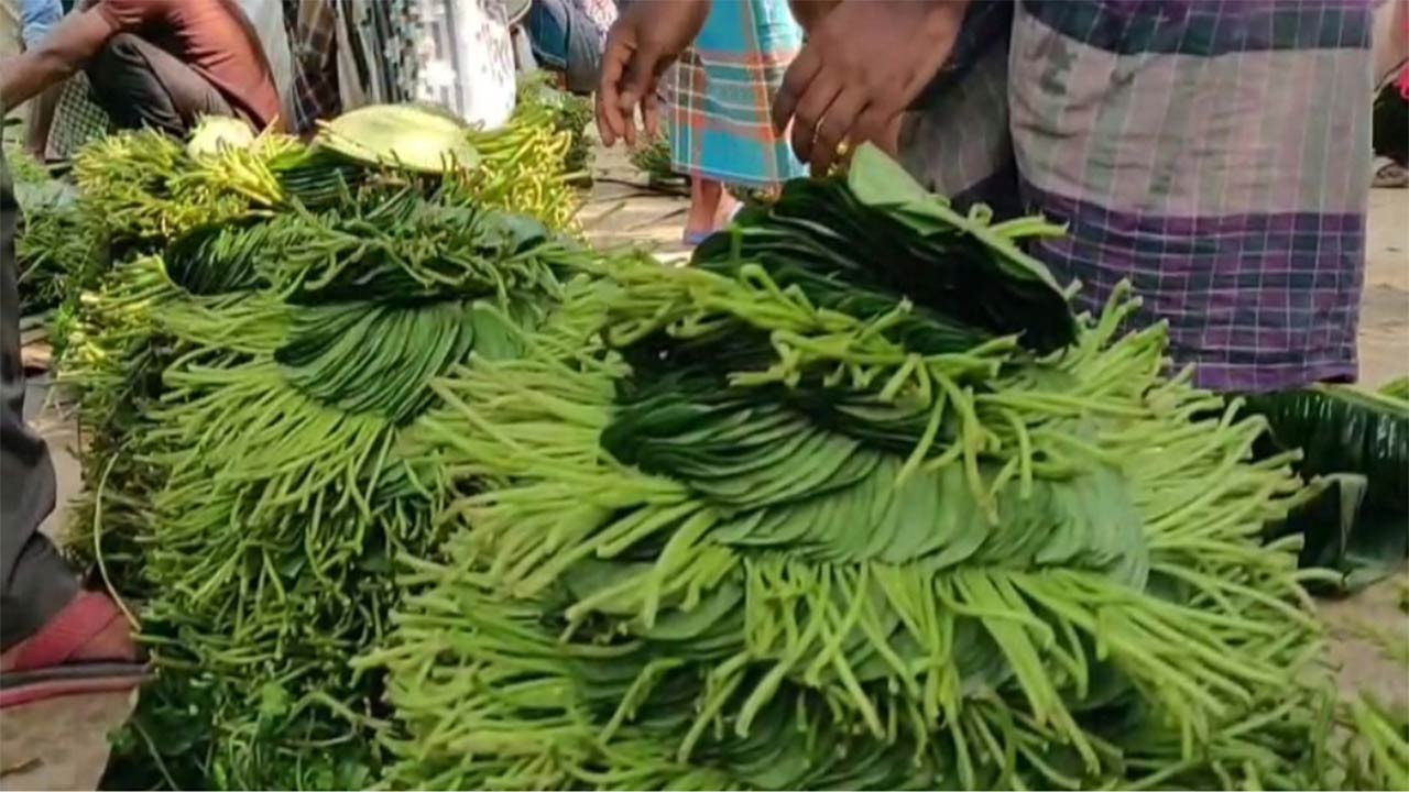 ন্যায্যমূল্য না হতাশ হিলির পান চাষিরা