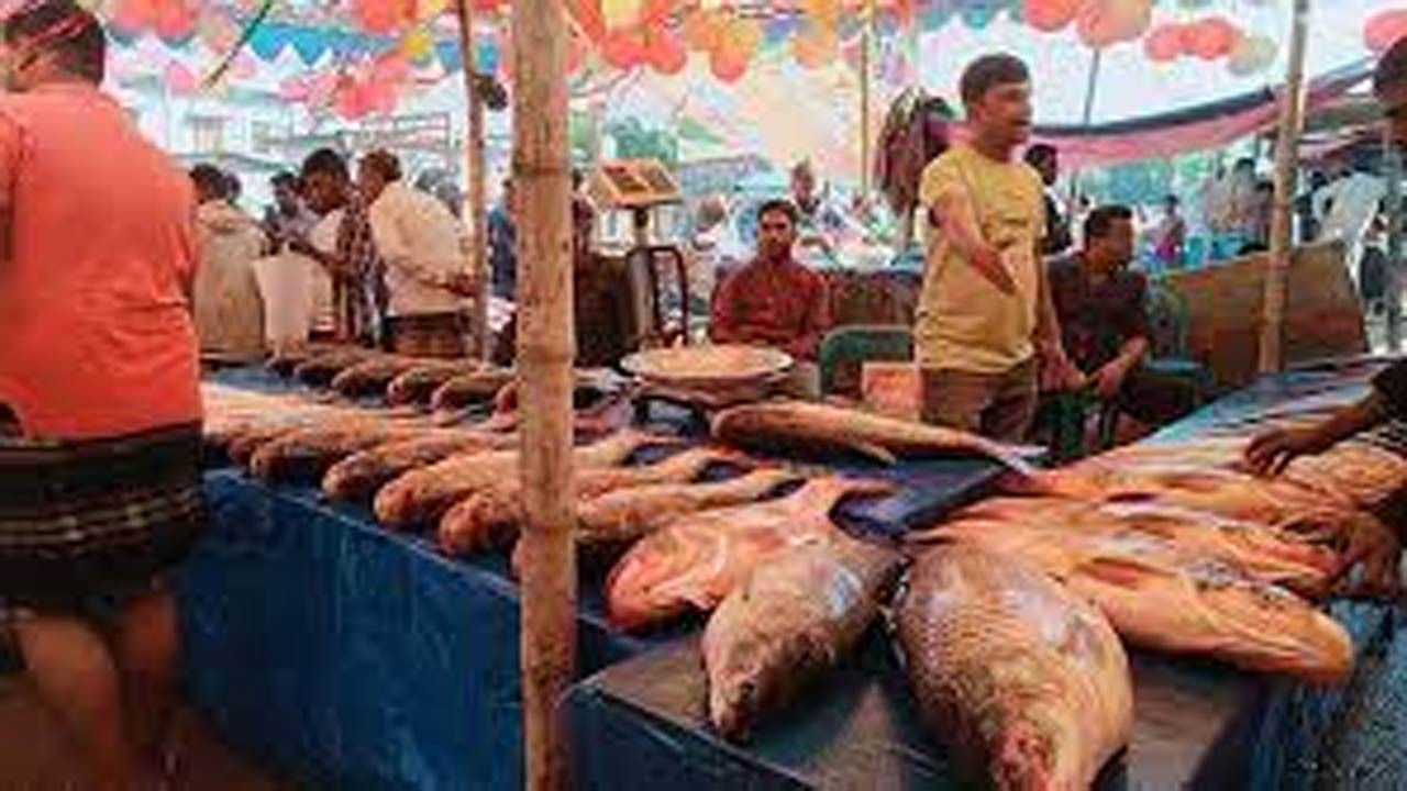 নবান্ন উৎসবে কালাইয়ে জামাইদের নিয়ে বসেছিল মাছের মেলা