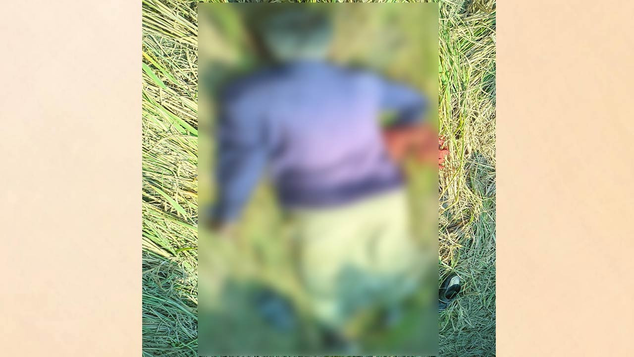 বগুড়ার শেরপুরে ধান ক্ষেত থেকে বৃদ্ধের লাশ উদ্ধার