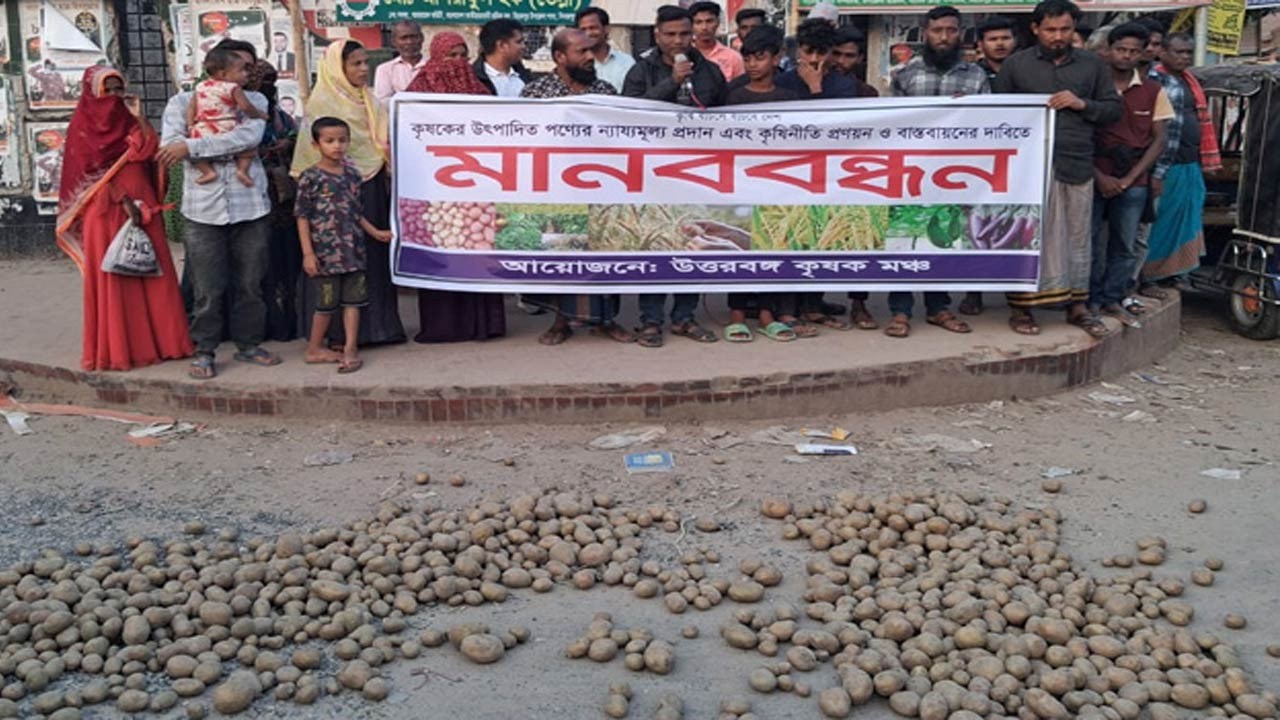 দিনাজপুরের বিরামপুরে রাস্তায় আলু ফেলে কৃষকদের মানববন্ধন