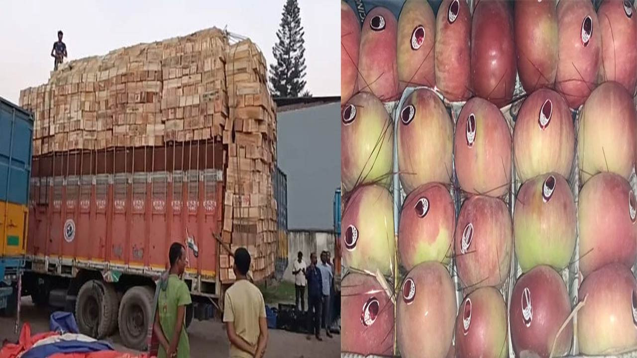 দিনাজপুরের হিলি স্থলবন্দর দিয়ে ১১ বছর পর ফল আমদানি