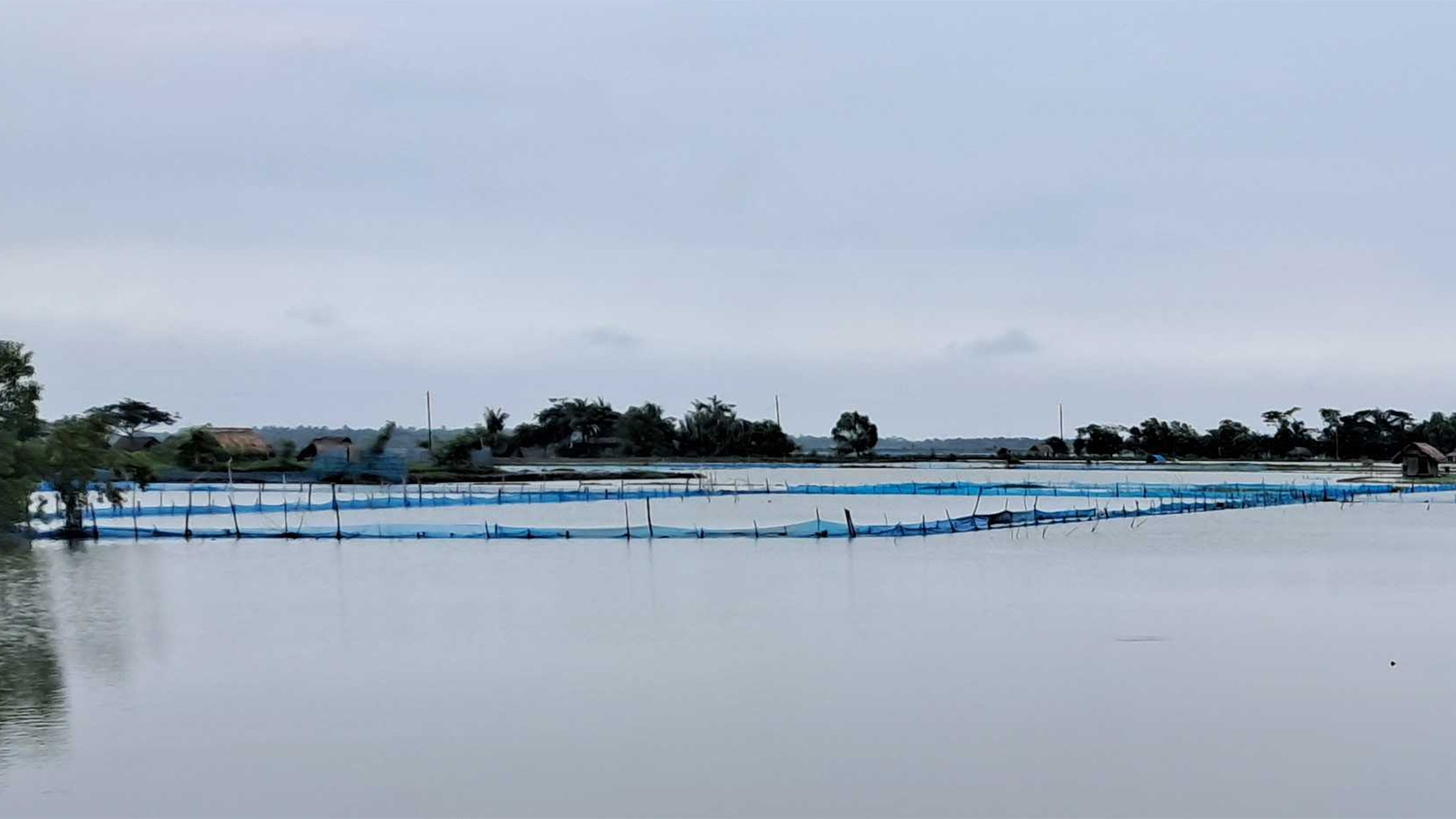 বাগেরহাটে মাছের ঘেরে মিলল ৫ বছরের শিশুর মরদেহ