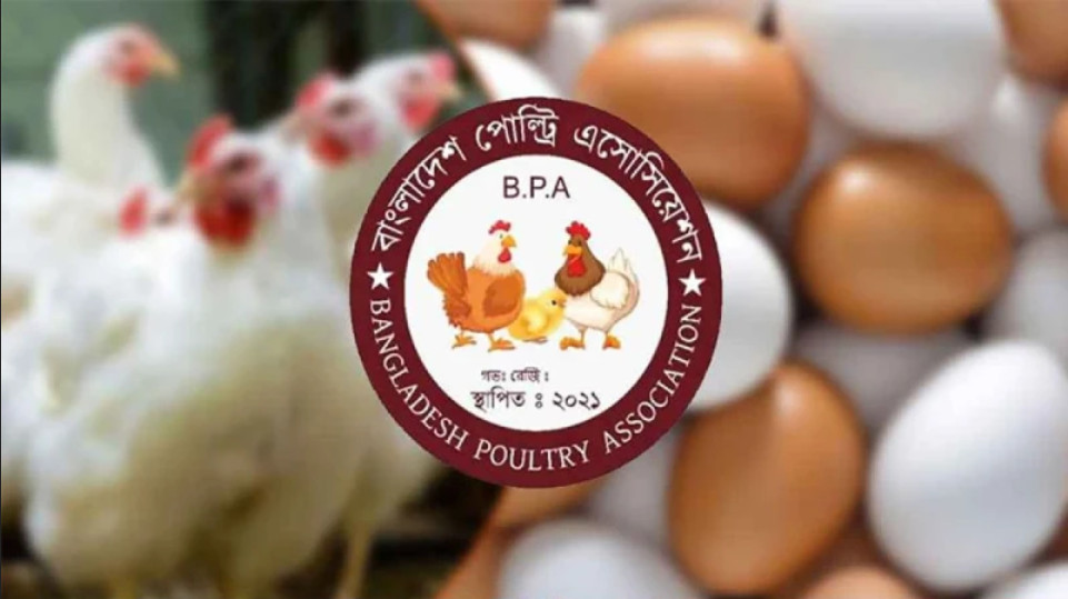 আজ থেকে সারাদেশে ডিম-মুরগি উৎপাদন বন্ধ