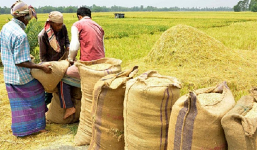 ধান ৩৪ ও ৫০ টাকায় চাল কিনবে সরকার