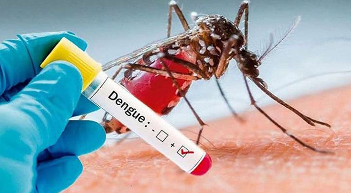 ডেঙ্গু : ২৪ ঘণ্টায় আরও ৫ জনের মৃত্যু