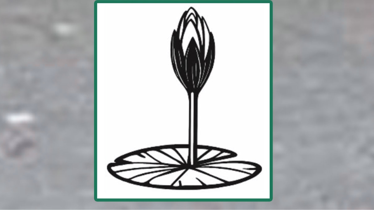 ওয়েবসাইটে এনসিপির শাপলা কলির স্কেচ যুক্ত করলো ইসি