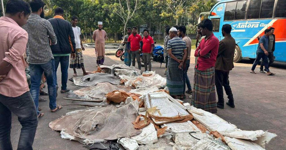 পটুয়াখালীতে নিষিদ্ধ শাপলা পাতা মাছ জব্দ