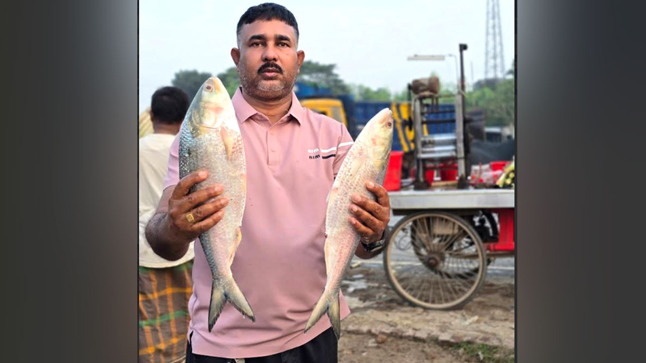 দৌলতদিয়ায় পদ্মার দুই ইলিশ বিক্রি ১৯ হাজার ৭০০ টাকায়