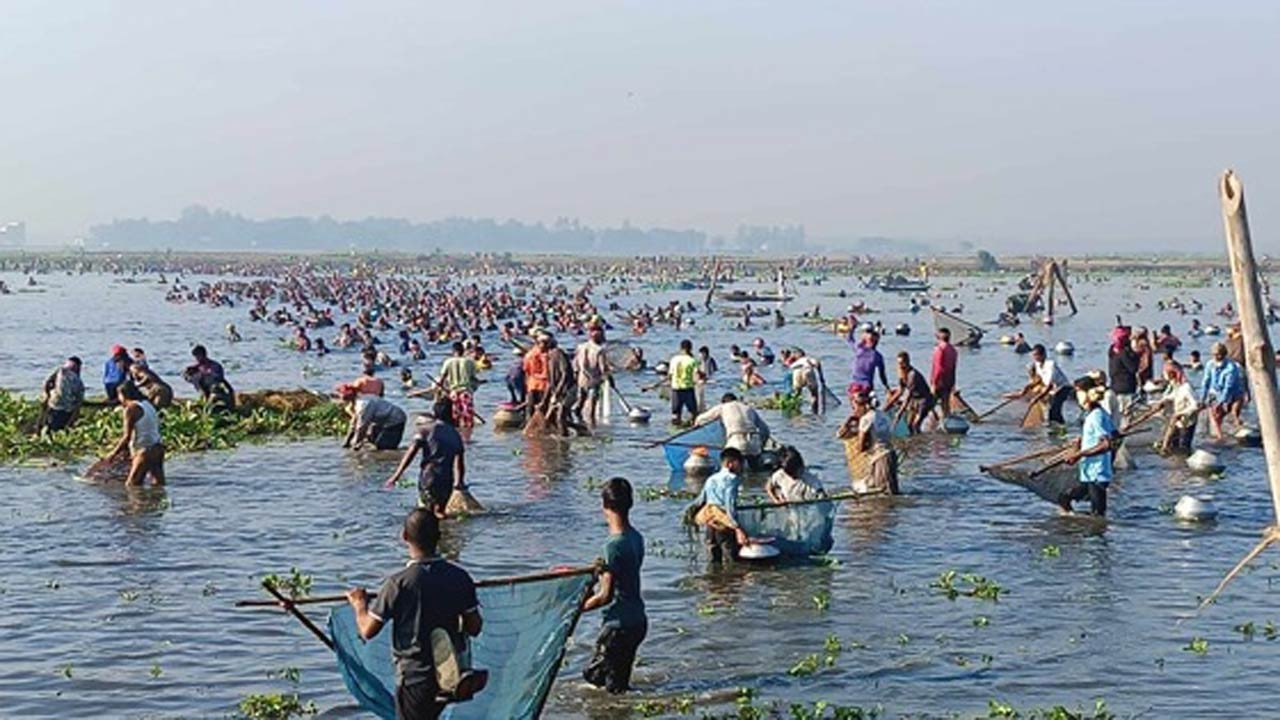চলনবিলে বাউত উৎসবে শৌখিন মৎস্য শিকারিরা