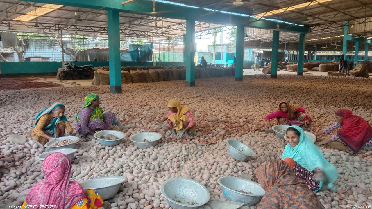 জয়পুরহাটের কালাইয়ে হিমাগারে সংরক্ষিত আলু নিতে আসছেন না চাষী ও ব্যবসায়ীরা