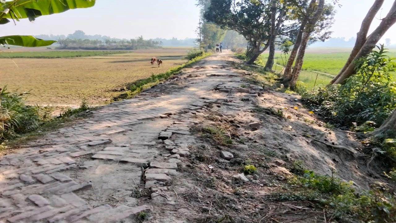 বগুড়ার সোনাতলায় জনগুরুত্বপূর্ণ সড়কের বেহাল দশায় ভোগান্তি চরমে