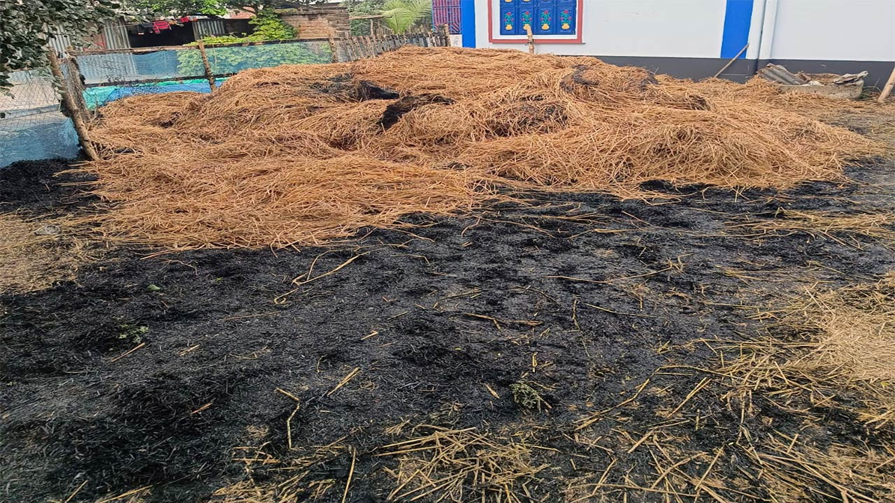 বগুড়ার আদমদীঘিতে খড়ের পালায় আগুন লেগে লক্ষাধিক টাকার ক্ষতি
