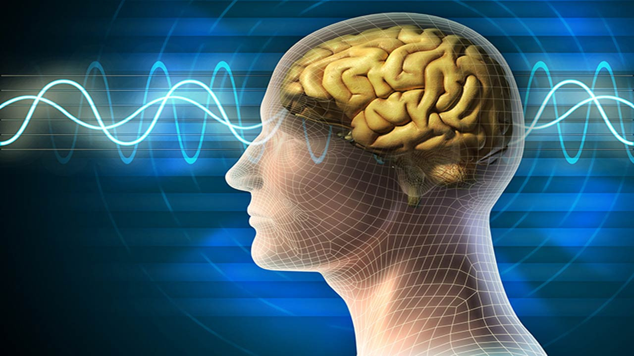 মানুষের মস্তিষ্ক অপমান মনে রাখে ২০ বছর, কিন্তু প্রশংসা ভুলে যায় মাত্র ৩০ দিনে!