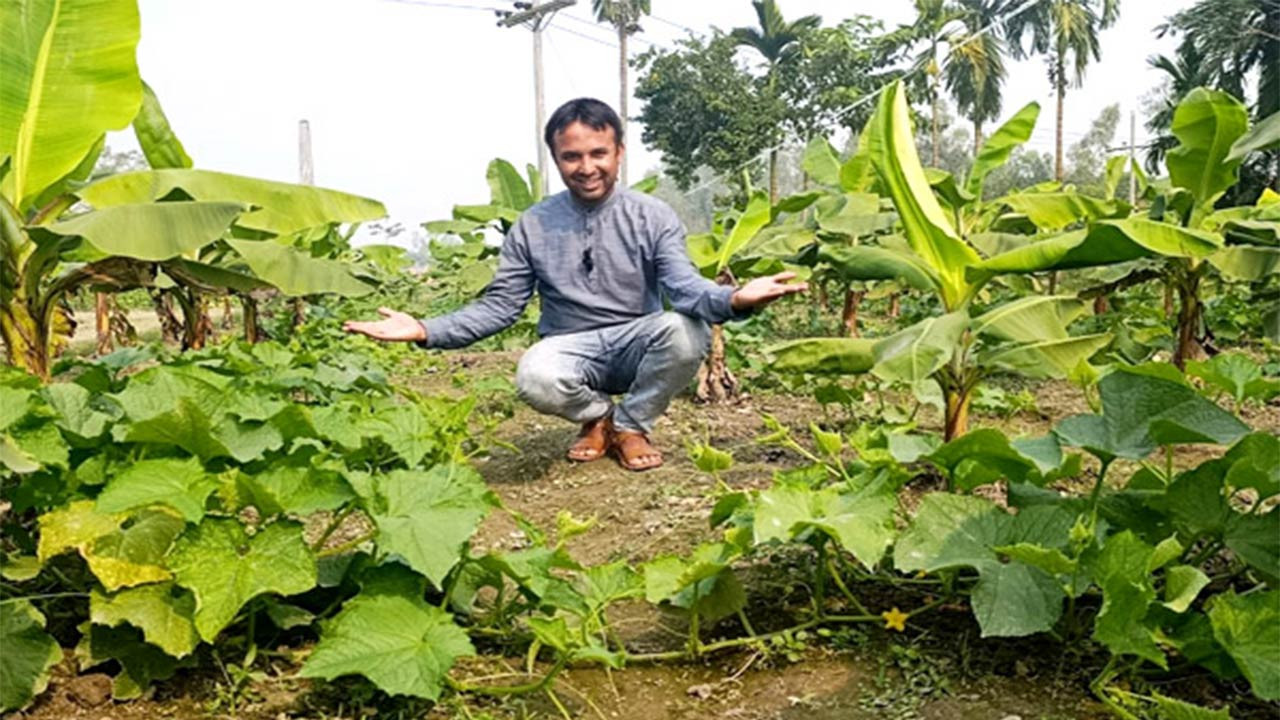 বগুড়ার শিবগঞ্জে সাথী ফসল উৎপাদনে কৃষকের আগ্রহ বাড়ছে