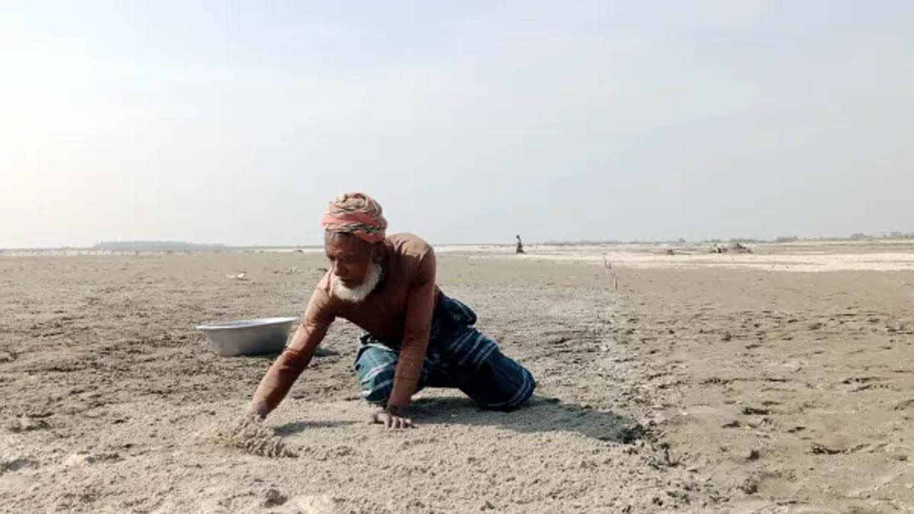 কুড়িগ্রামের ব্রহ্মপুত্রের বিস্তীর্ণ বালুচরে স্বপ্ন বুনছেন কৃষক