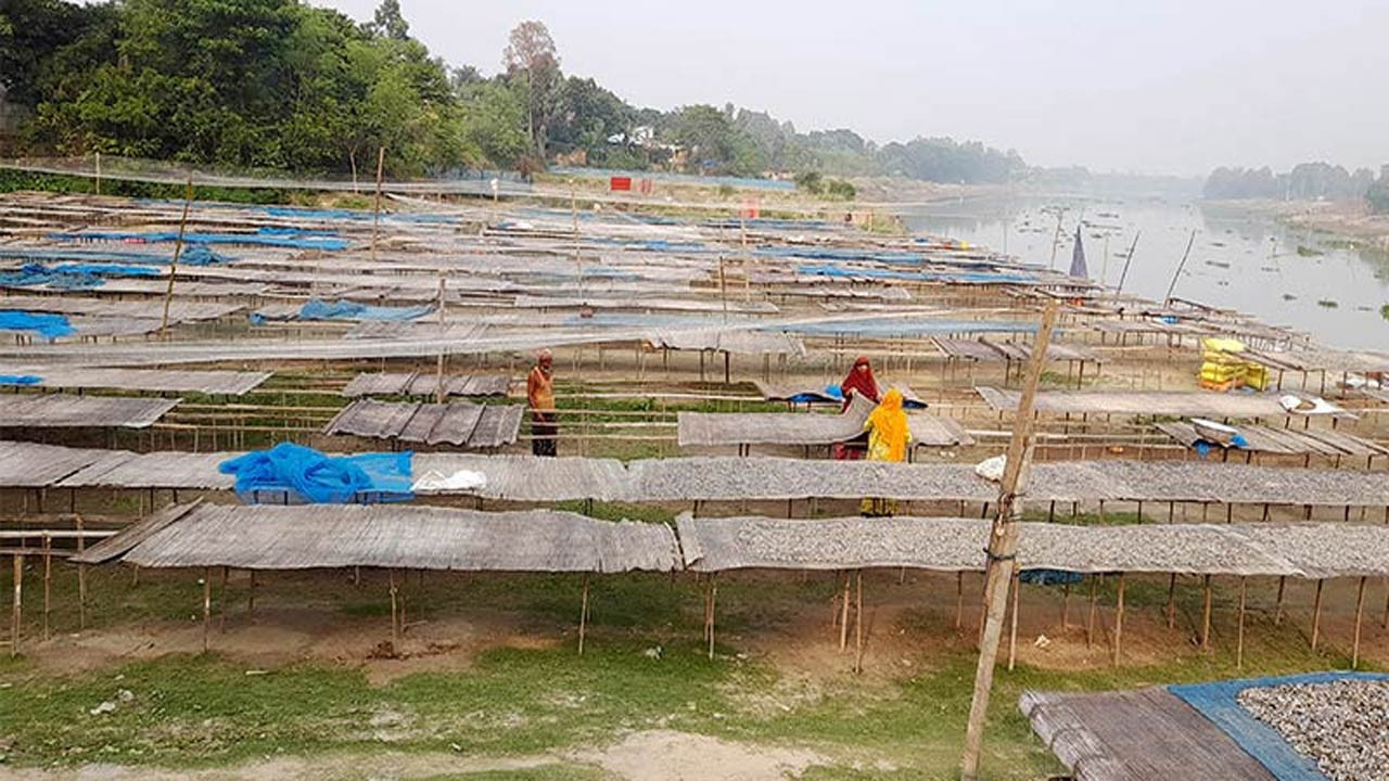 নওগাঁয় ভাটা পড়েছে শুঁটকি উৎপাদনে