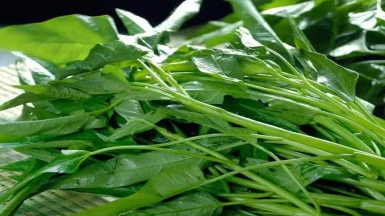 ডায়াবেটিসের মহৌষধ যে শাক! জানুন আরও উপকারিতা