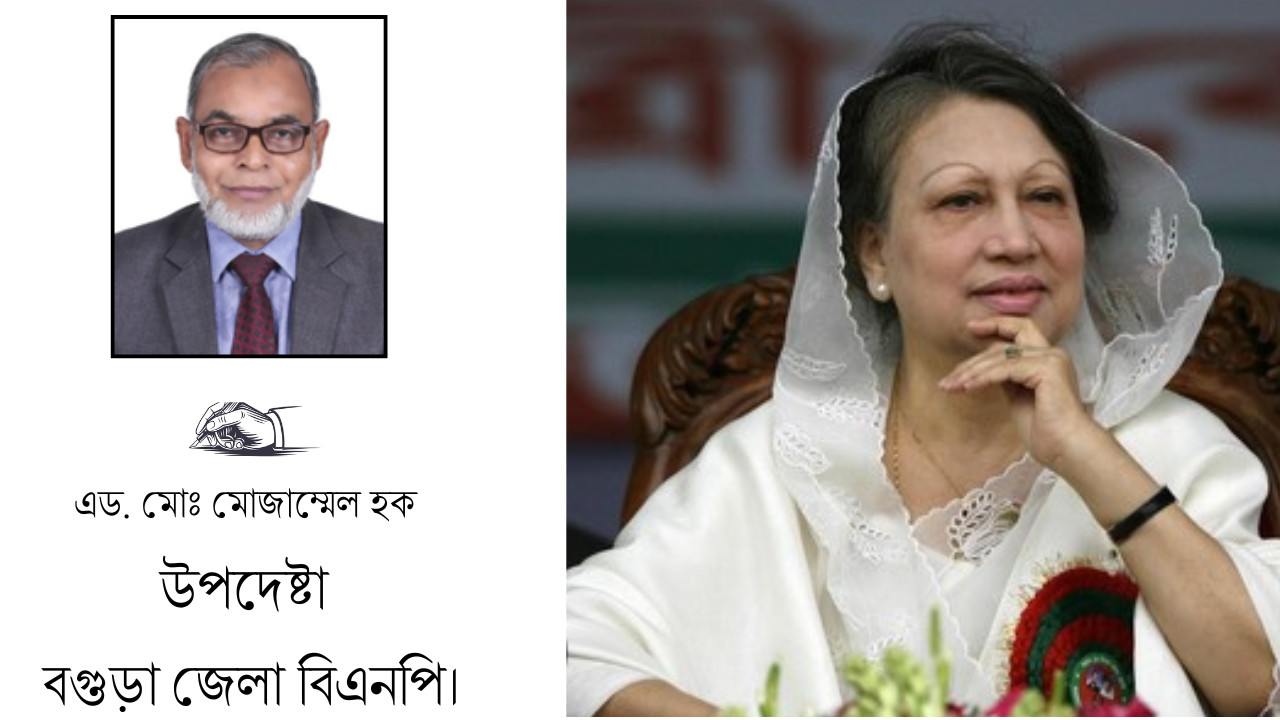 গণতন্ত্র উত্তরণের সন্ধিক্ষণে তোমাকে বড় বেশি প্রয়োজন