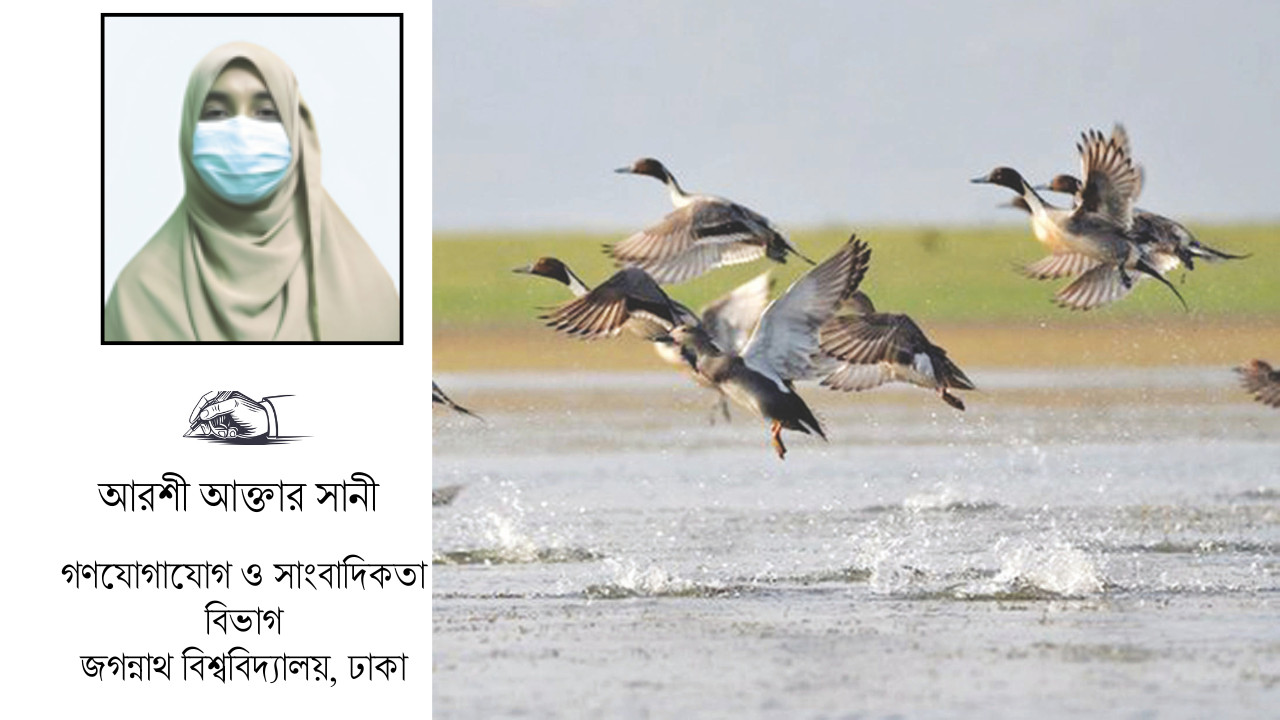 শীতকালে অতিথি পাখি  