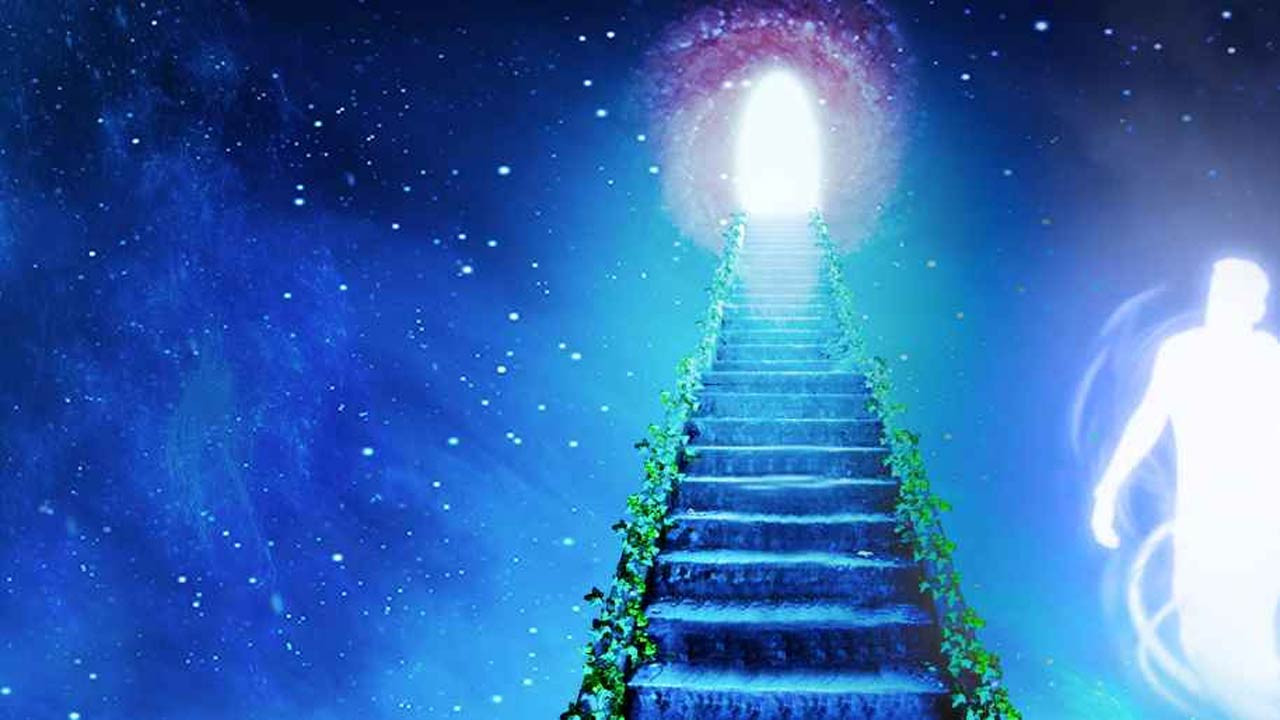 বিনা বিচারে সরাসরি জান্নাত যাবেন যারা