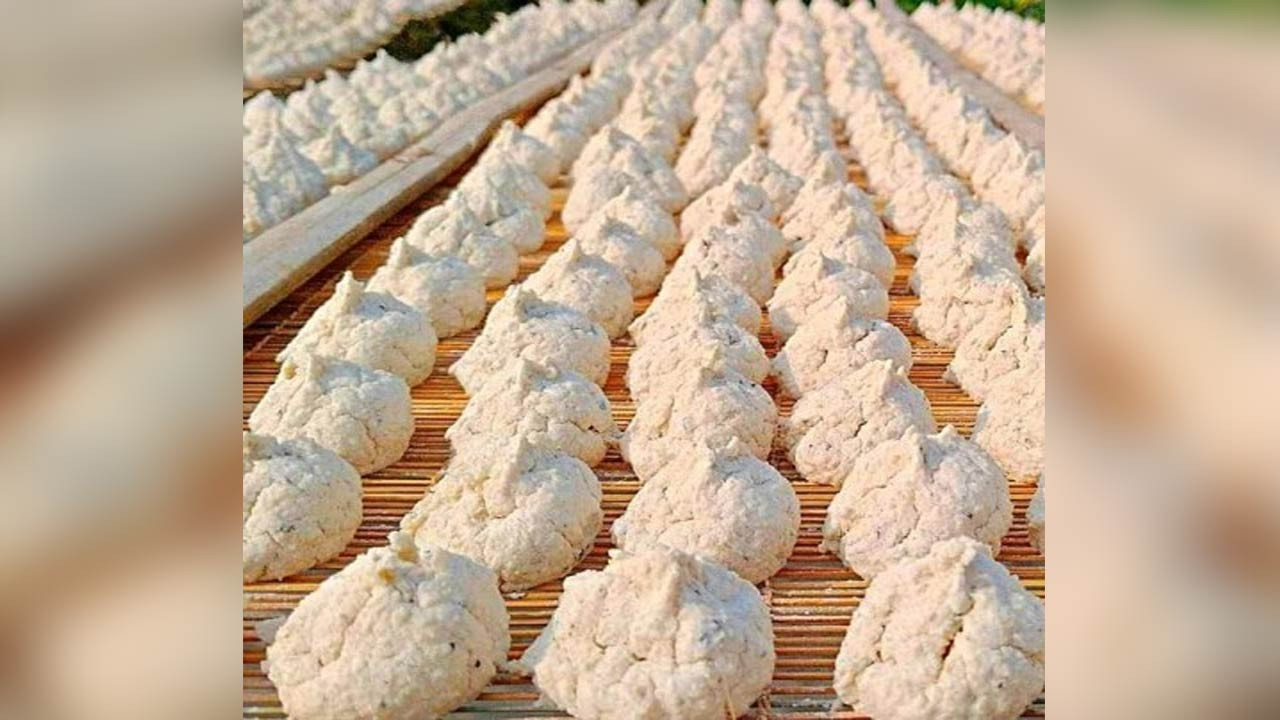 বগুড়ার শিবগঞ্জে কুমড়া বড়ি বিক্রি করে বাড়তি আয় করছেন গৃহিনীরা