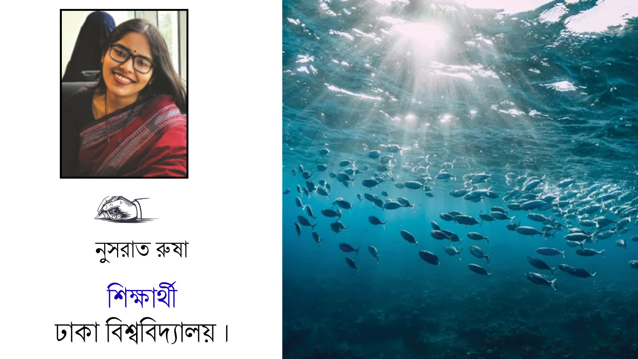 ব্লু ইকোনমি ও ইন্দো প্যাসিফিক রাজনীতি