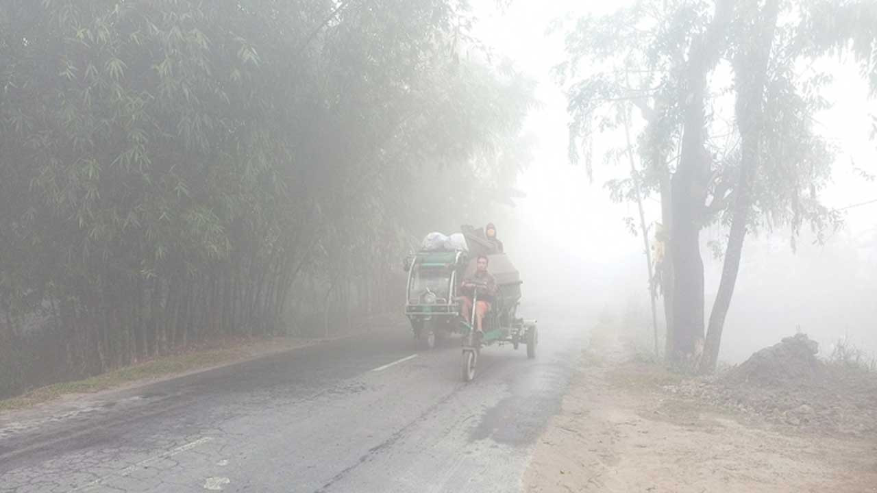 রোদের দেখা মেলায় স্বস্তি উত্তরাঞ্চলে, দক্ষিণাঞ্চলে বইছে মৃদু শৈত্যপ্রবাহ