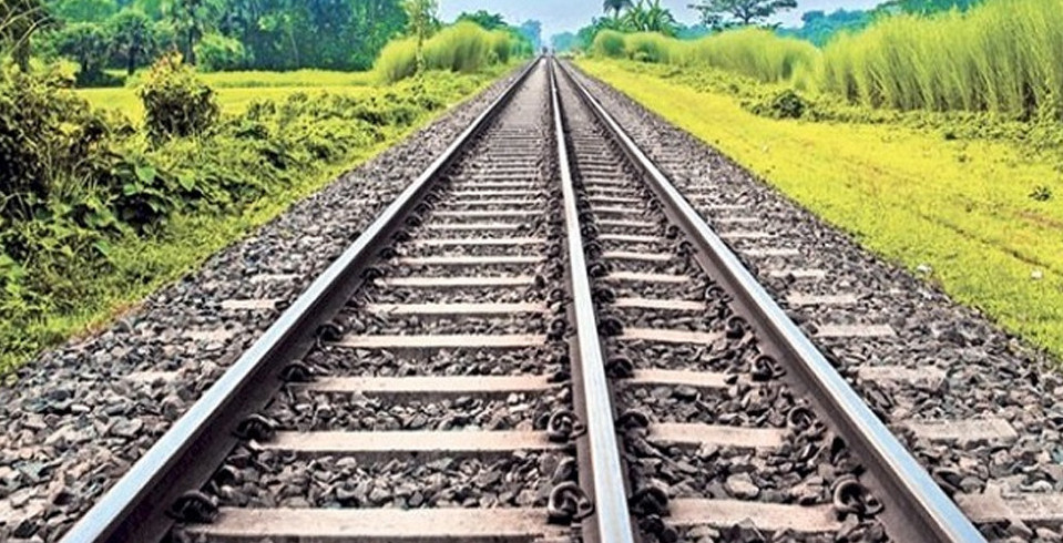 ভাঙ্গুড়ায় ট্রেনে কেটে ৩টি ছাগলের মৃত্যু