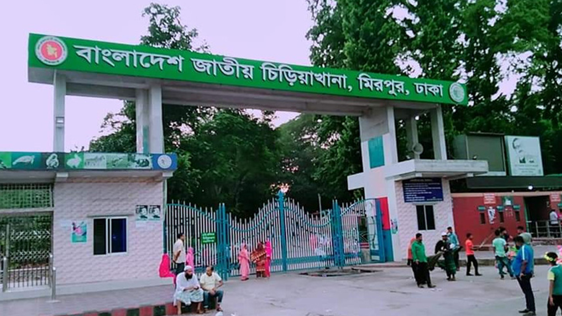 চিড়িয়াখানার খাঁচা থেকে বাইরে বের হয়ে গেছে সিংহ ,নিয়ন্ত্রণের চেষ্টা কর্তৃপক্ষের