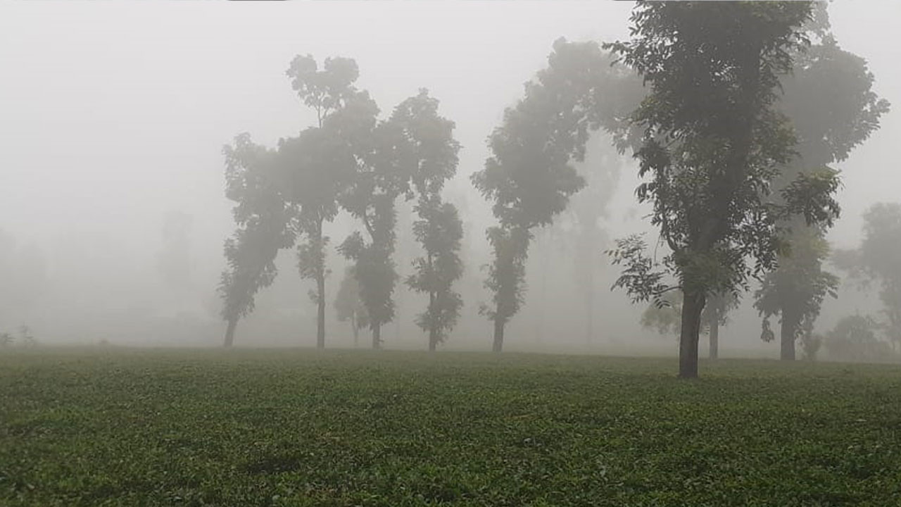 ঢাকার তাপমাত্রা নামলো ১৪ ডিগ্রিতে