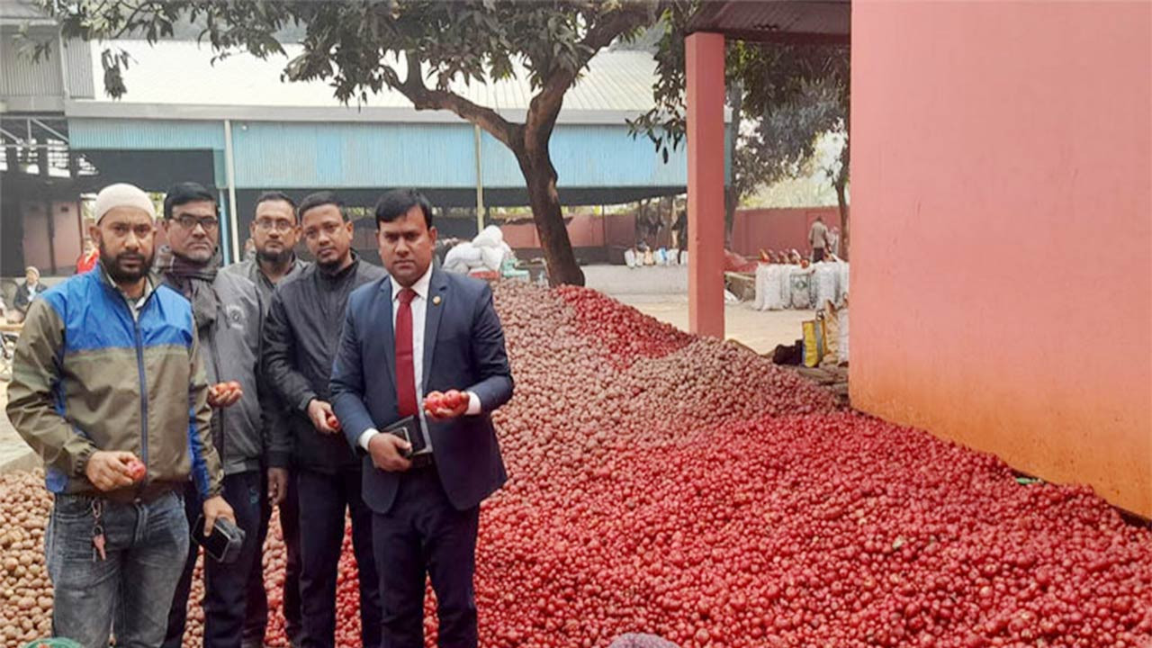বিভিন্ন সবজি বিদেশে রপ্তানি করে লাভবান হচ্ছে বগুড়া শিবগঞ্জের কৃষক