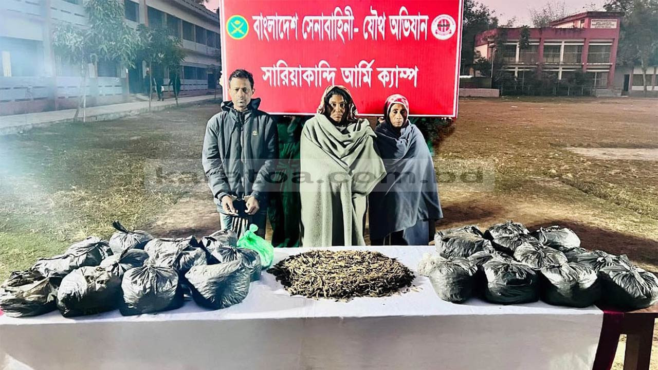 বগুড়ার সারিয়াকান্দিতে গাঁজাসহ ৩ মাদক কারবারি ও দেশীয় অস্ত্রসহ বিএনপির নেতা আটক