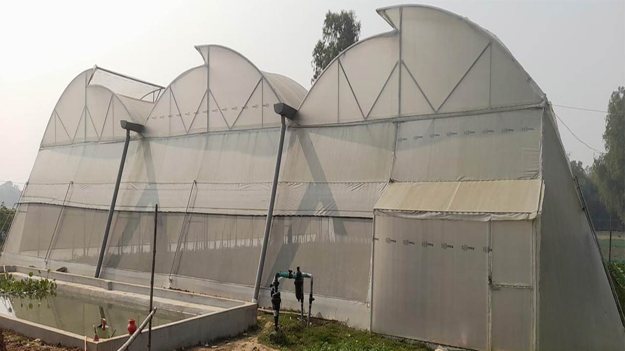 দিনাজপুরের নবাবগঞ্জে কৃষিতে নতুন সংযোজন হলো পলিনেট হাইজ