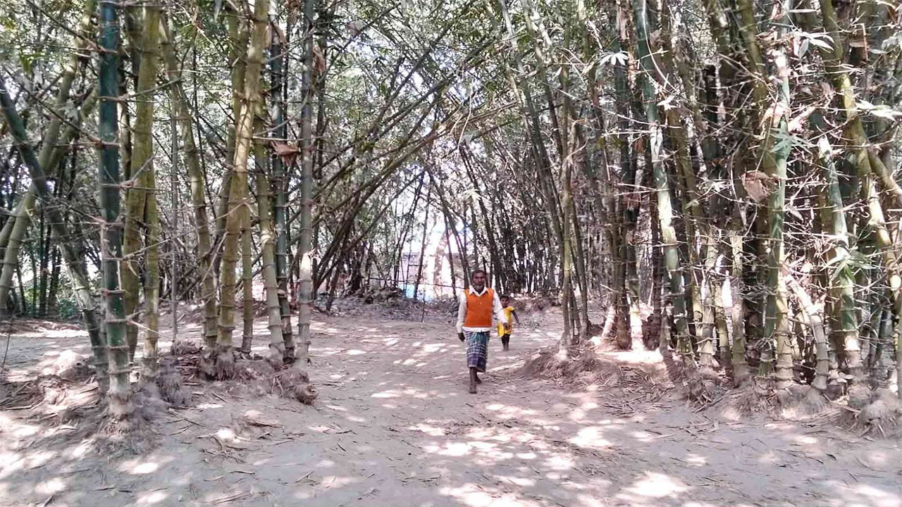 বগুড়ার সোনাতলায় একটি গ্রামে চলাচলের কোন রাস্তা নেই