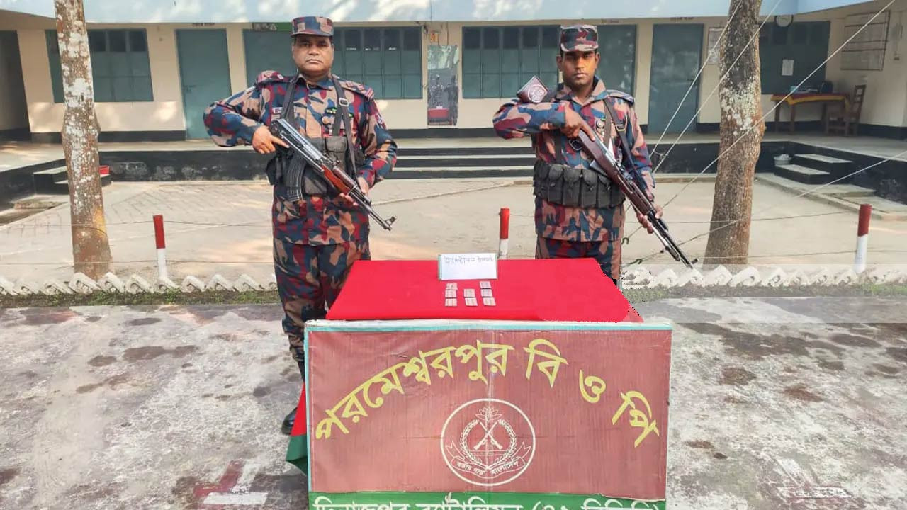 দিনাজপুরের বিরলে বিজিবি’র অভিযানে ভারতীয় ট্যাপেন্টাডল ট্যাবলেট উদ্ধার