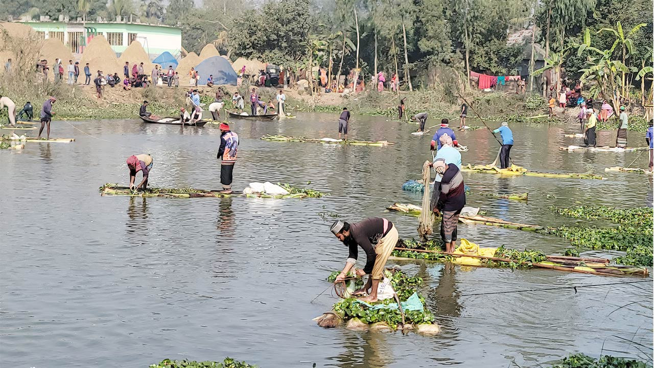 নাটোরের সিংড়ায় হয়ে গেল ঐতিহ্যবাহী মাছ ধরা উৎসব