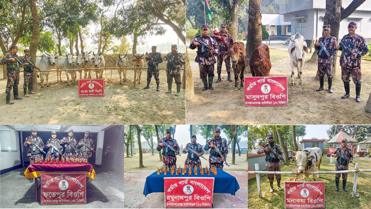 চাঁপাইনবাবগঞ্জে পৃৃথক অভিযান ১১টি ভারতীয় গরু ও মোটরসাইকেলসহ মাদকদ্রব্য জব্দ