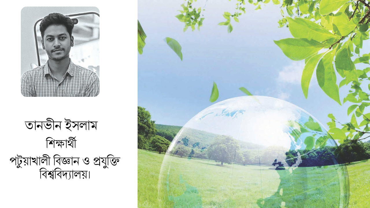 সবুজ পরিবার, সজীব খাবার