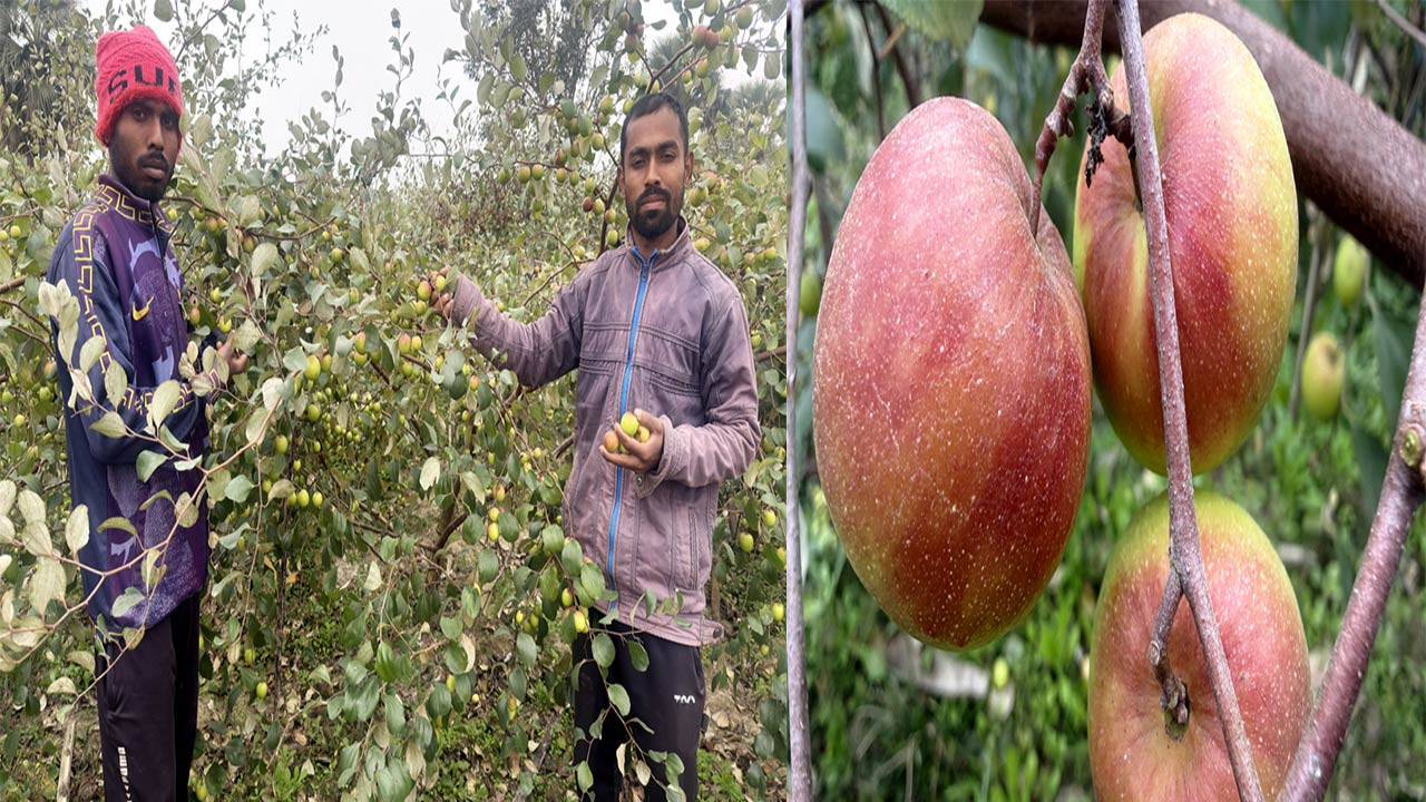 নওগাঁয় বল সুন্দরীতে বাজিমাত দুই তরুণের