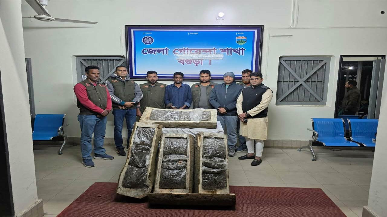 বগুড়ায় গাছের গুড়ির মধ্যে মিললো ৩৬ কেজি গাঁজা, মাইক্রোবাসসহ কারবারি গ্রেফতার